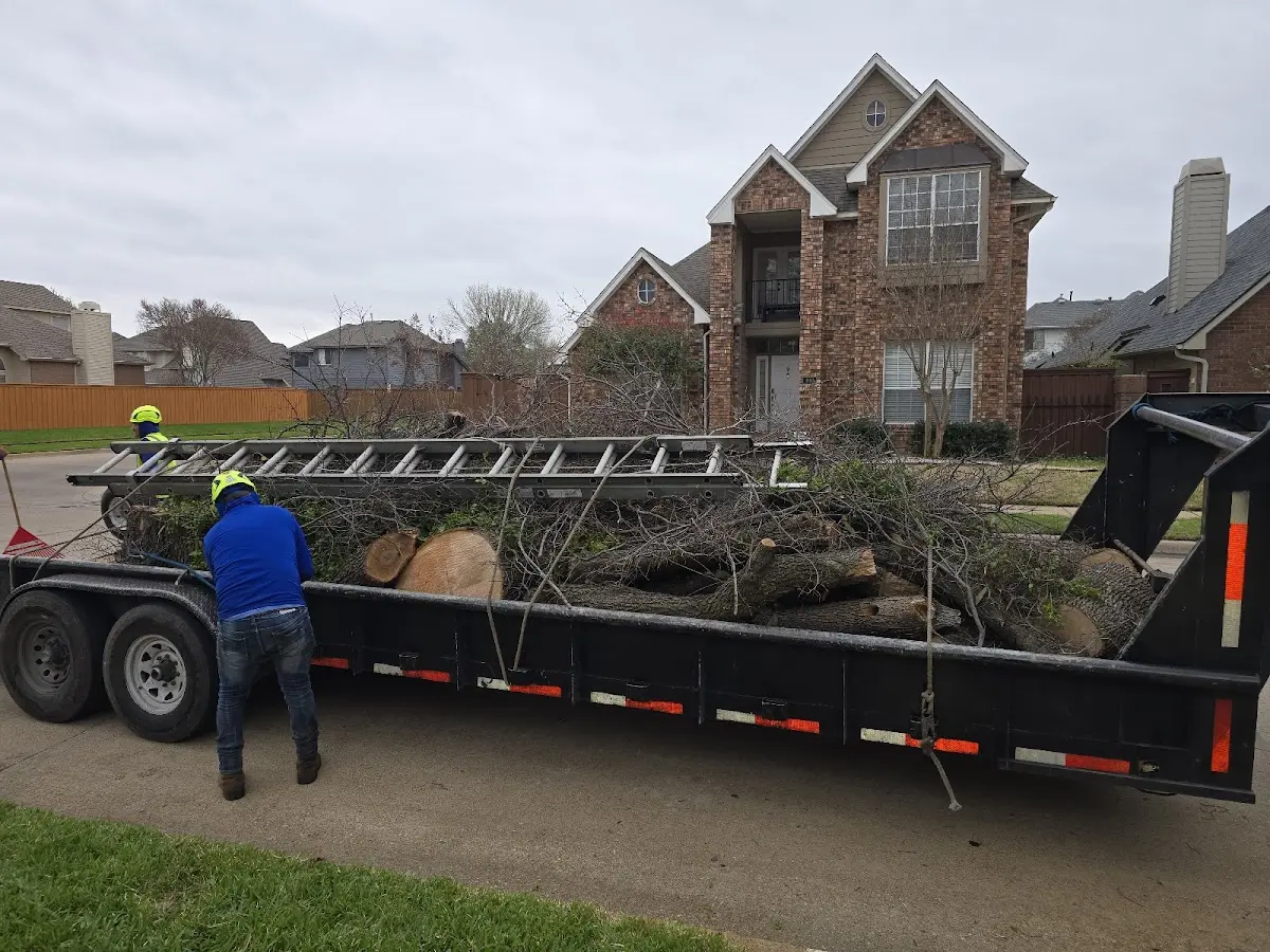 Expert Tree Fertilization with proper safety equipment in Atascosa